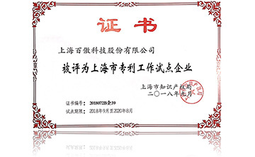 上海市專利(li)工(gong)作試(shi)點(dian)企(qi)業(ye)